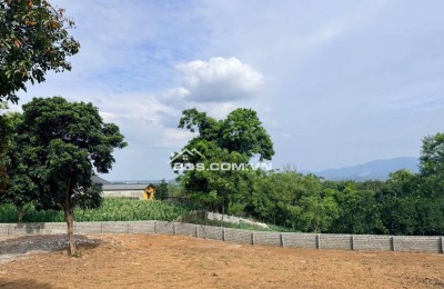 ÁN GẤP 2.000M² ĐẤT SÁT DỰ ÁN NHÀ Ở HÒA SƠN – GIÁ CỰC TỐT